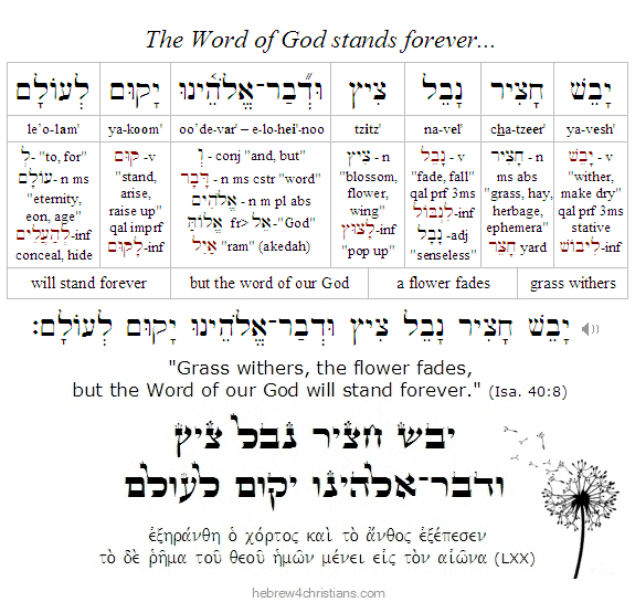 Isaiah 40:8 Hebrew Lesson