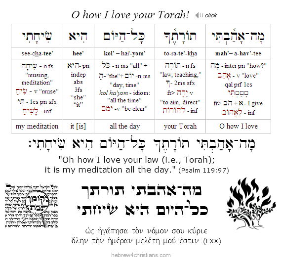 Psalm 119:97 Hebrew for Christians