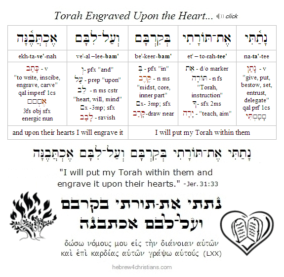 Jeremiah 31:33 Hebrew