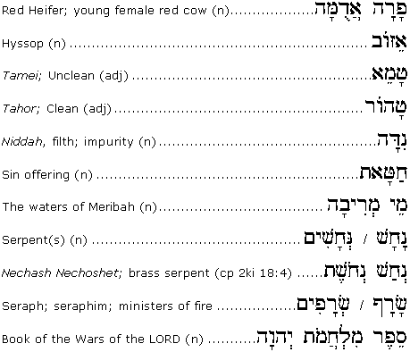 Parashah-Related