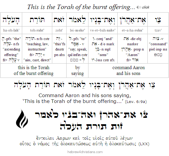 Leviticus 6:9a Hebrew Analysis