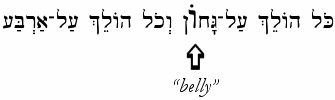 Belly of the Torah