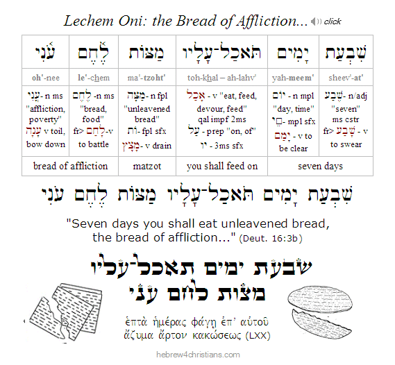 Deut. 16:3b Hebrew lesson