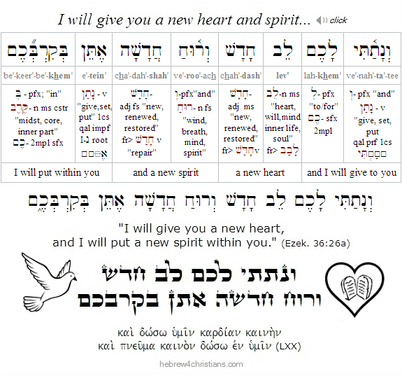 Ezekiel 36:26a Hebrew analysis