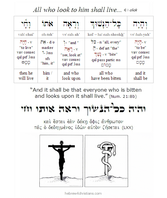 Numbers 21:8b Hebrew Lesson